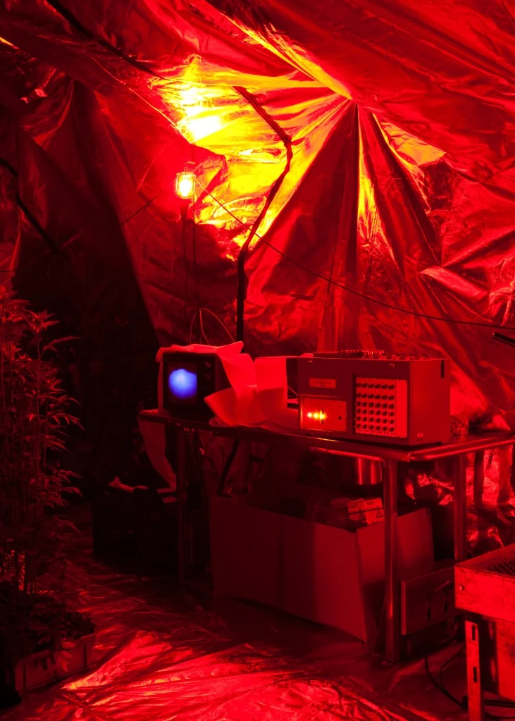 AP_Robin-Meier_Sinchronicity_credit-Michel-Giesbrecht_20_hdf