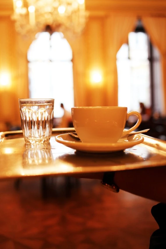 Cafe Demel, Wien, 2009, Copyright www.peterrigaud.com