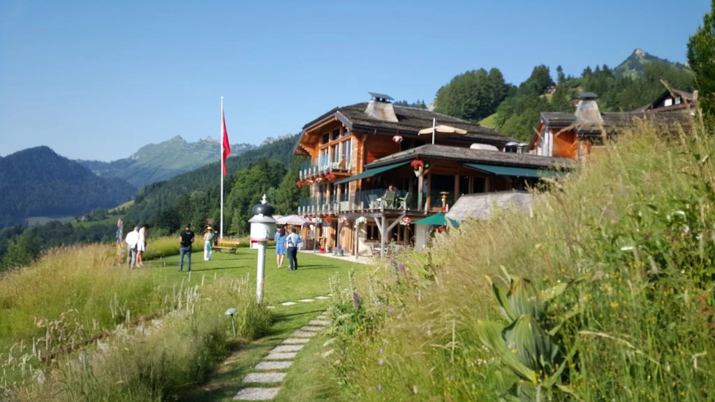 wpid-20150706_181654.jpg