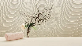hotel-spa-geneve-Hotel-President-Wilson-Spa-Amenities