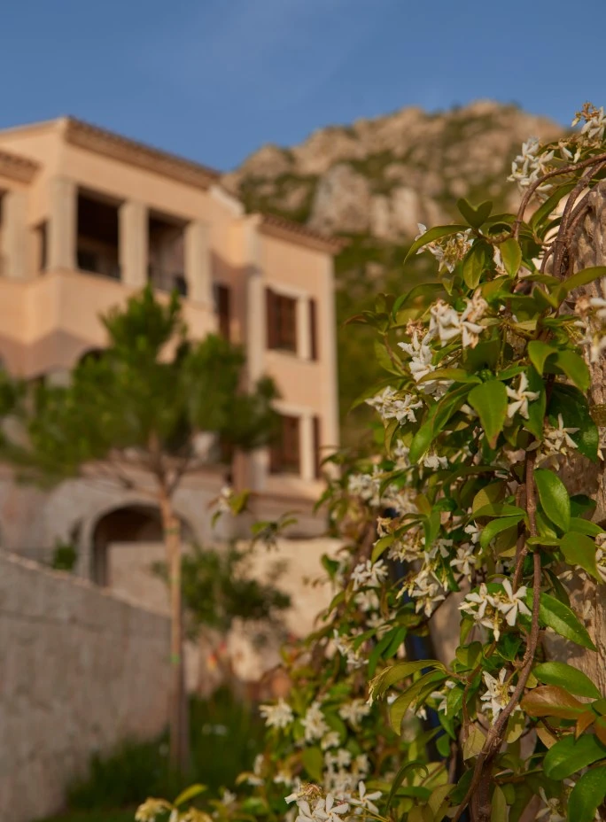 Park-Hyatt-Mallorca-Jasmin