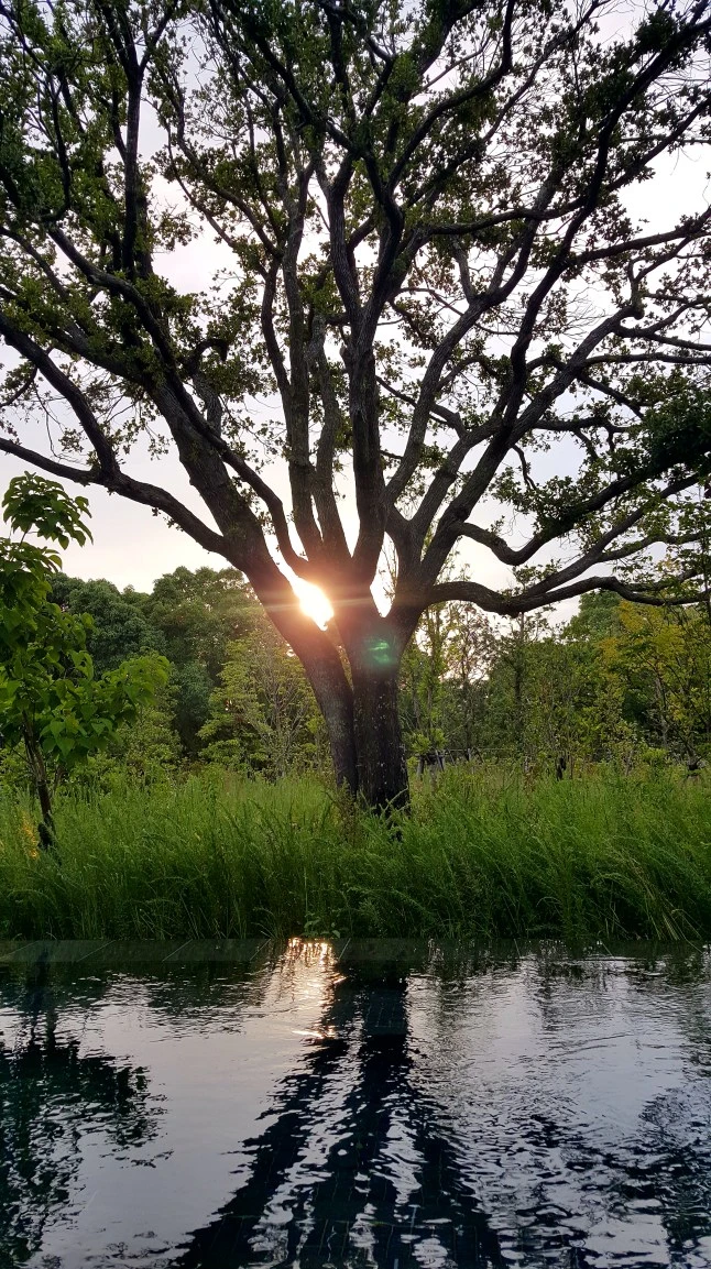 20170621_181104