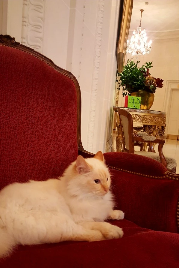 20171205_105257.jpg