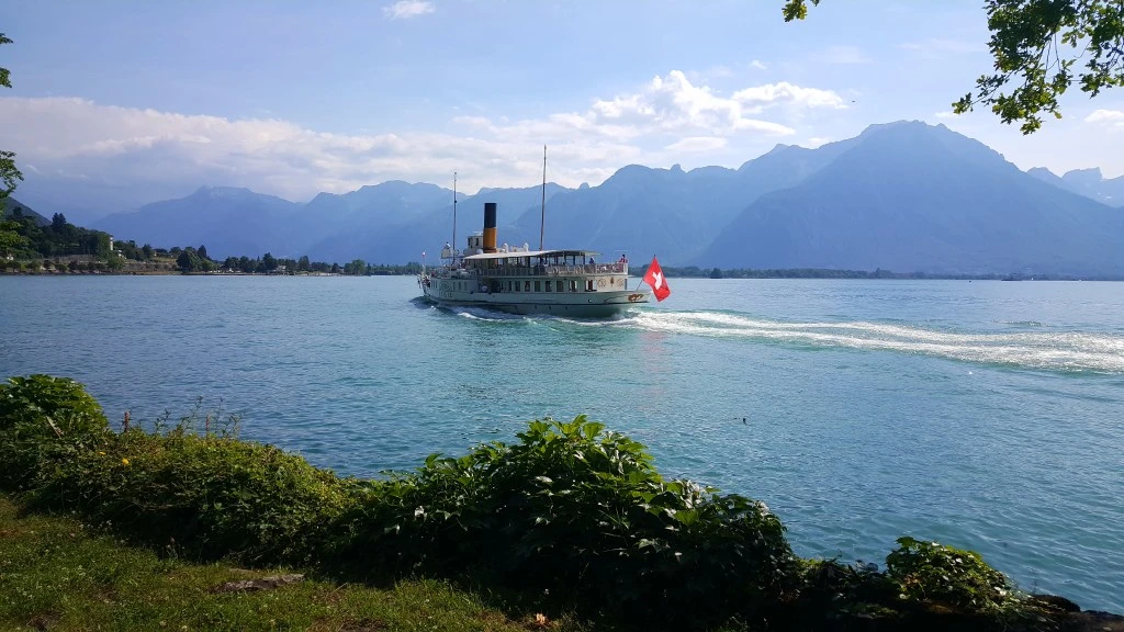 20180616_170810.jpg