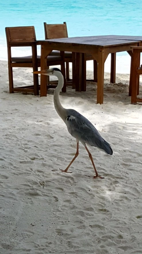 20180720_104621.jpg