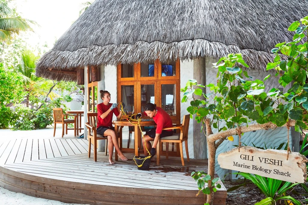 GLM_Gili Veshi