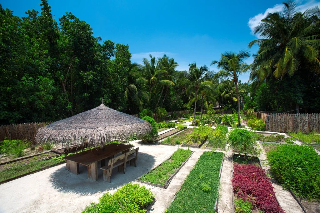 GLM_Organic Garden