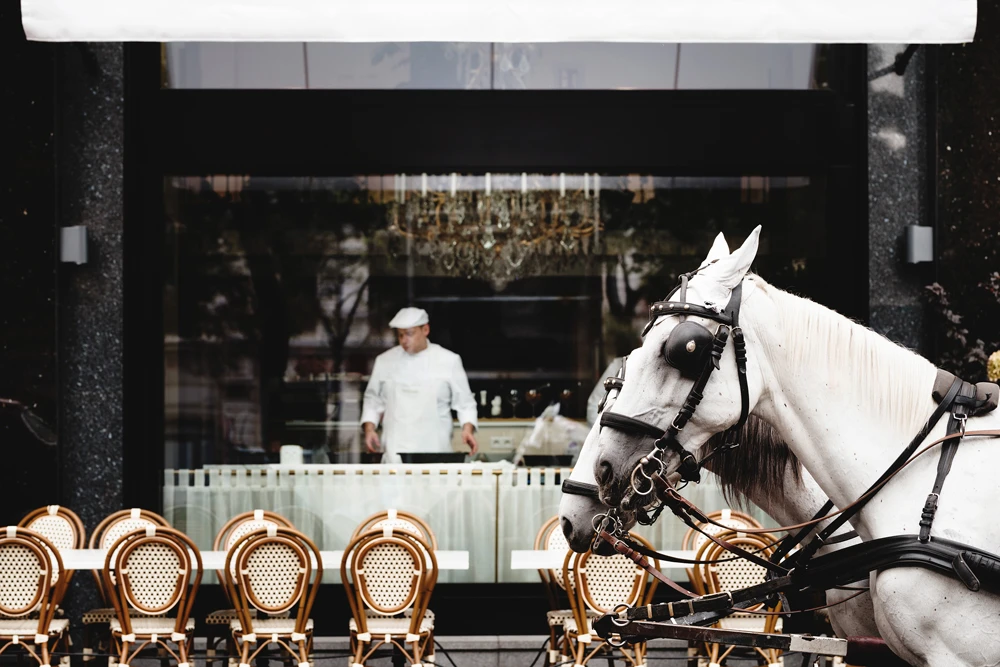 3_Riding_Schnitzel_Meissl_Schadn_MIK8569_c_MichaelKoenigshoferWeitzer_Hotels.jpg