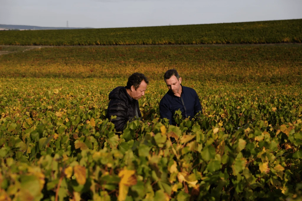 ruinart_vik_muniz_reims_vineyard_8C3A6648_medium.width-1280x-prop.png