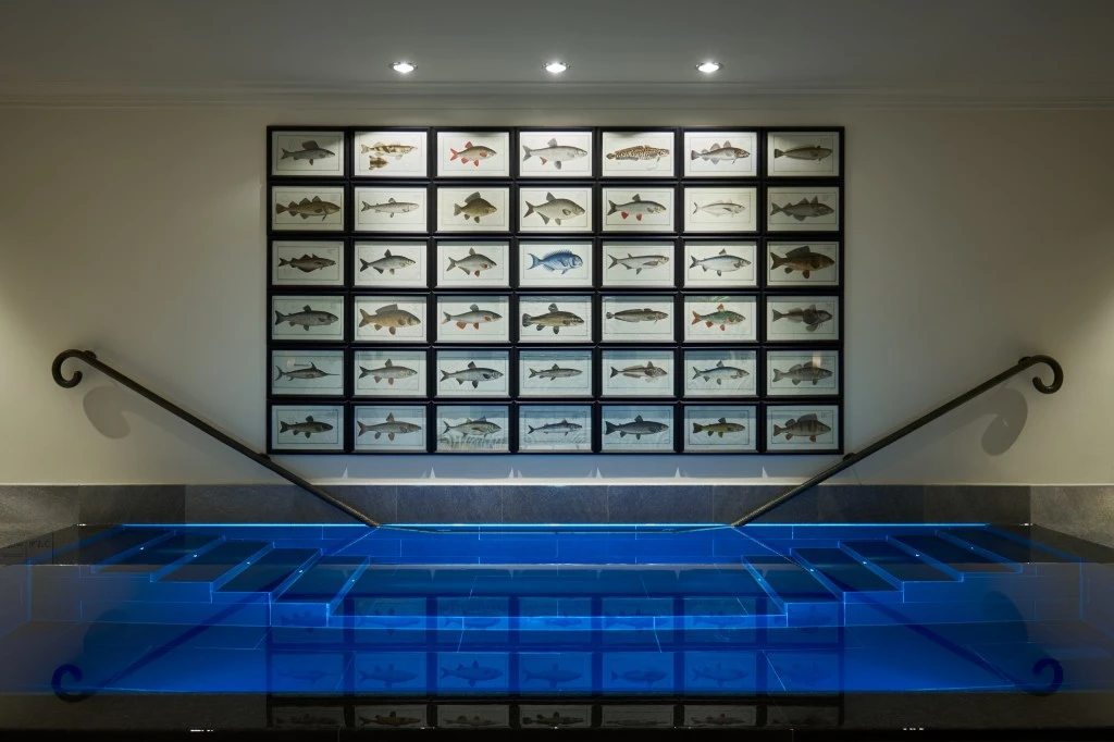 Villa-Stephanie-Plunge-Pool-fishes_7431.jpg