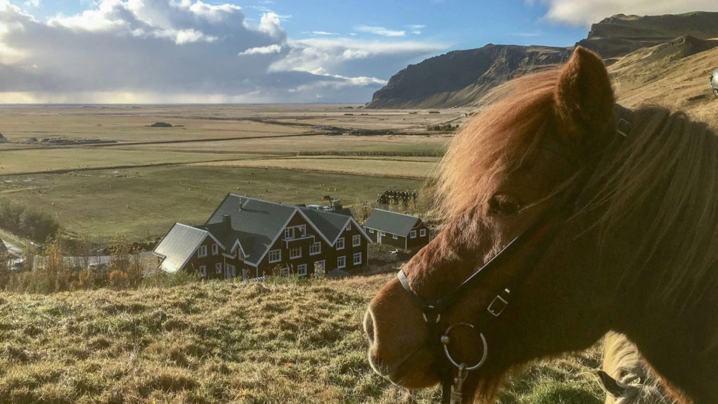 Eyjafjalla Horseback riding tour (3)